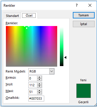 Özel bir renk görüntülenen renkler iletişim kutusu
